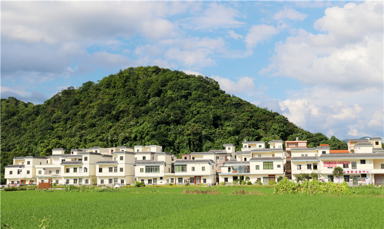 沙園村全村面貌煥然一新。（清遠(yuǎn)日報特約通訊員張麗思 攝）.jpg
