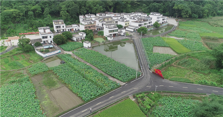 近年來，禾石坑村著力發(fā)展特色優(yōu)勢(shì)產(chǎn)業(yè)，打造以“荷花+蓮子+泳場(chǎng)”為主題的鄉(xiāng)村觀光旅游。（通訊員供圖）.jpg