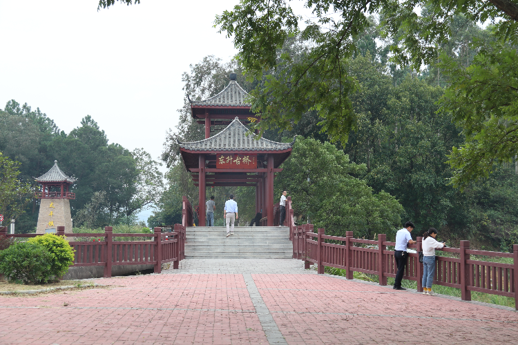 太平鎮(zhèn)面貌向美而行，群眾生活越來越舒適了。清遠(yuǎn)日報(bào)訊 特約通訊員張麗思 攝.JPG