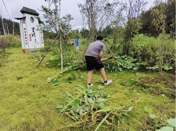 陽山縣政務(wù)服務(wù)和數(shù)據(jù)管理局黨支部到楊梅鎮(zhèn)里洞村開展人居環(huán)境清潔活動(dòng)圖片.jpg